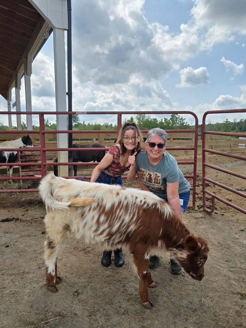 Book Ahead, Because Walk-Ins Won't Get You A Cow Hug Book Ahead, Because Walk-Ins Won't Get You A Cow Hug
