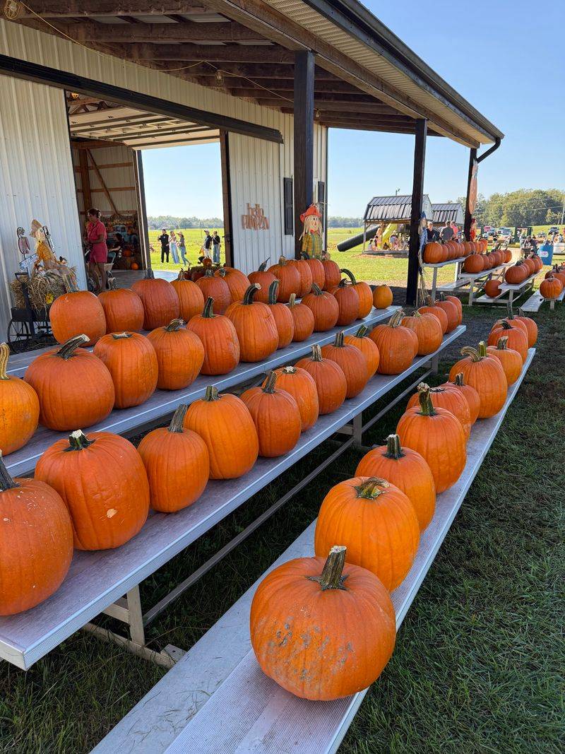 Bowles Farms, Clements Bowles Farms, Clements