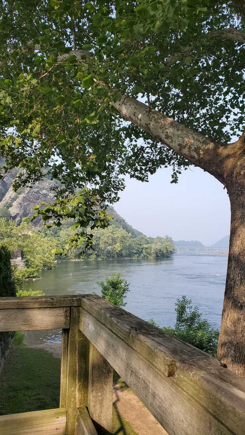 Breezy Benches And Shady Corners For A Slow Moment