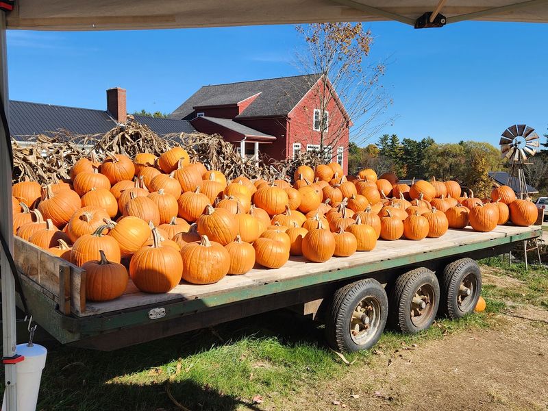 Bring A Flashlight For The Spookier After-Dark Version