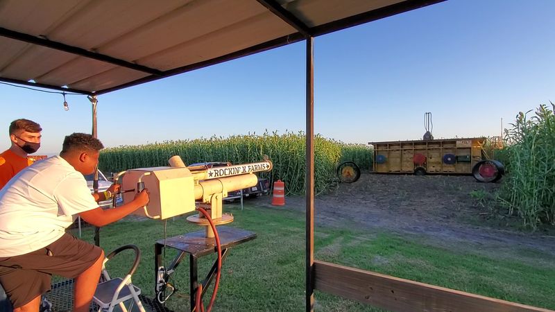 Bring Your Competitive Streak To These Backyard Games