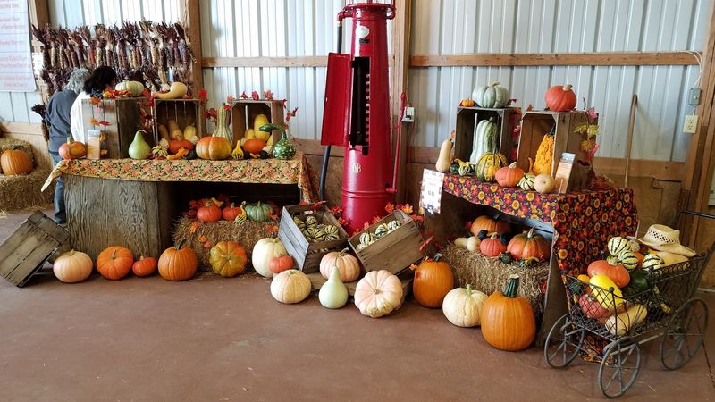Brookfield Pumpkins, Thurmont Brookfield Pumpkins, Thurmont