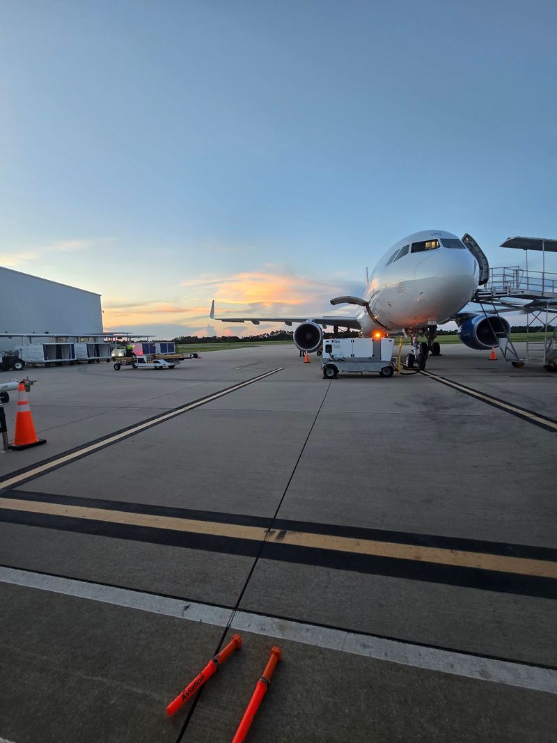 Budget Wings Courtesy of Allegiant Budget Wings Courtesy of Allegiant