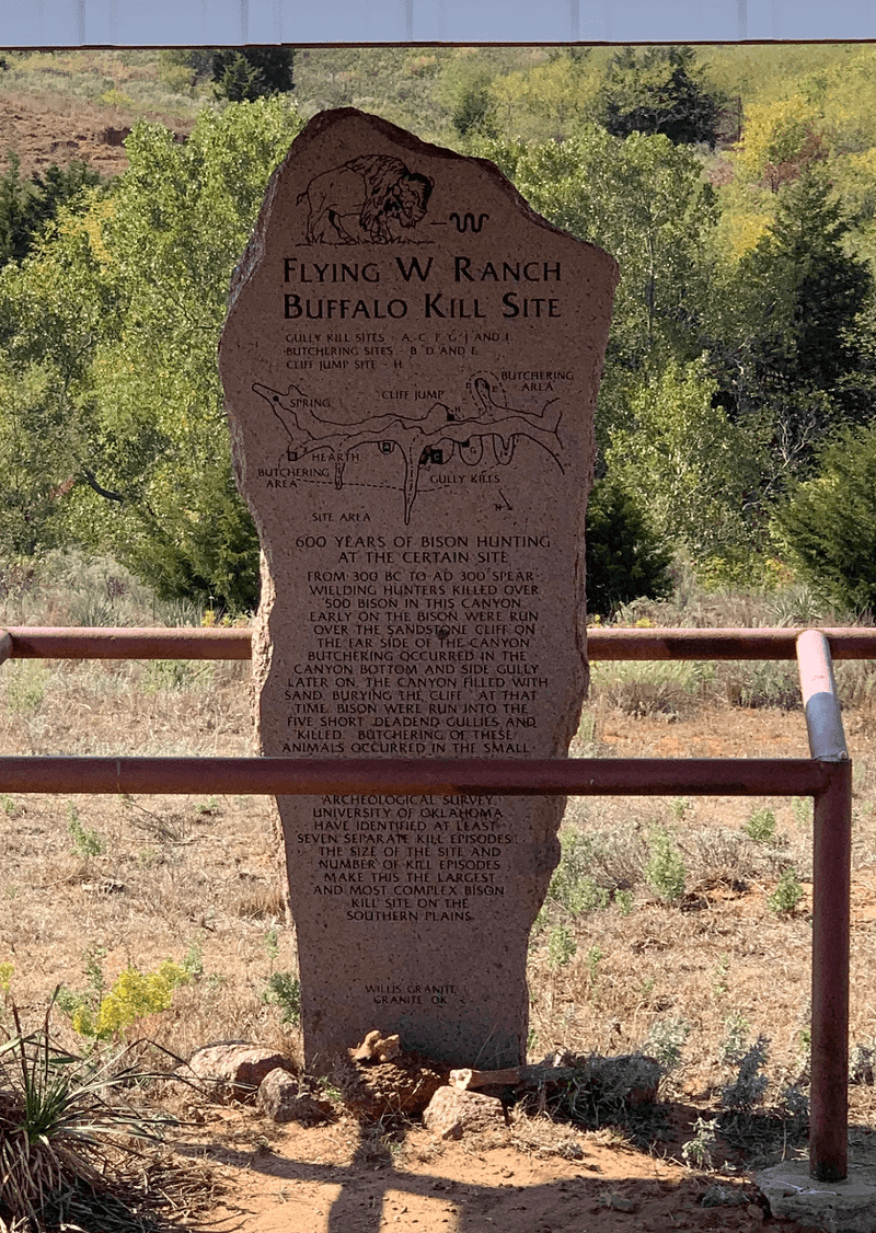 Buffalo Bones and Old Plains History