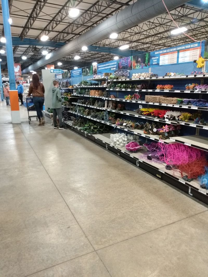 Building a Tank? The Aquarium Aisles Have You Covered Building a Tank? The Aquarium Aisles Have You Covered
