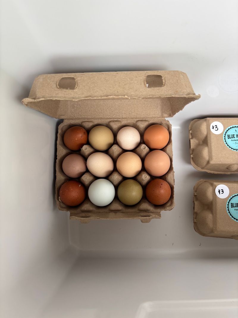 Bunnies And Fresh Eggs Make Some Tours Extra Sweet Bunnies And Fresh Eggs Make Some Tours Extra Sweet