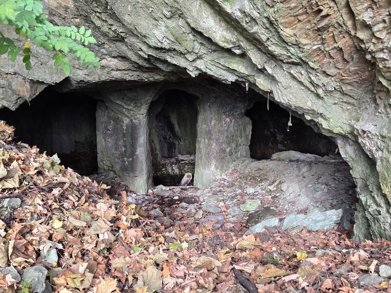 Buried and Forgotten for Decades Buried and Forgotten for Decades
