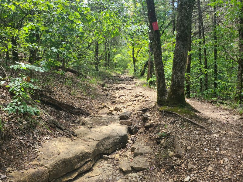 Busiek State Forest and Wildlife Area