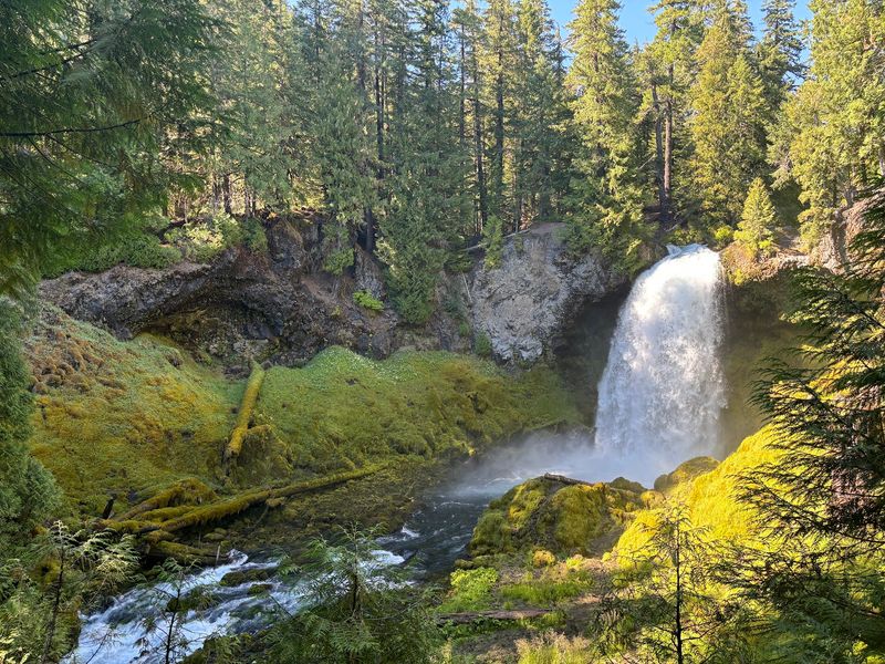 Koosah and Sahalie Falls Trail Koosah and Sahalie Falls Trail