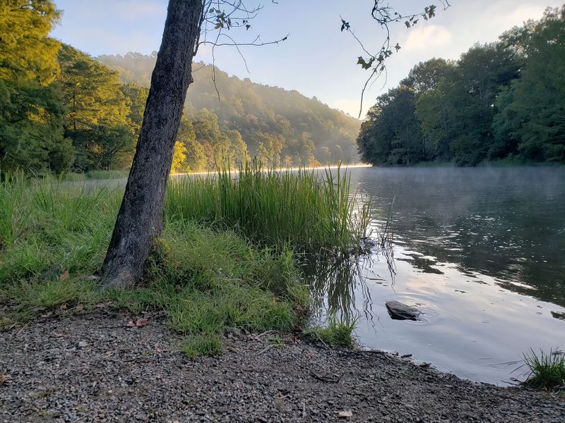 Cabins, Campsites and Cell-Free Quiet Cabins, Campsites and Cell-Free Quiet