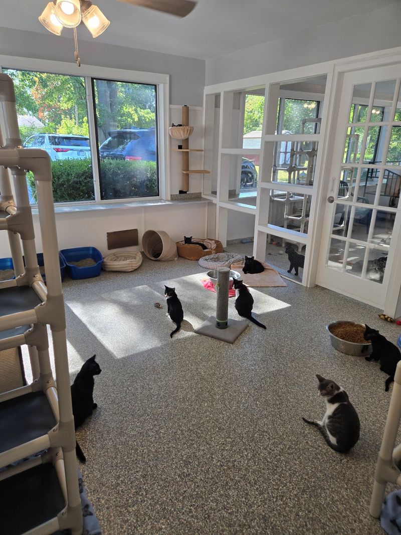 Cage-Free Rooms Where Personalities Shine Cage-Free Rooms Where Personalities Shine