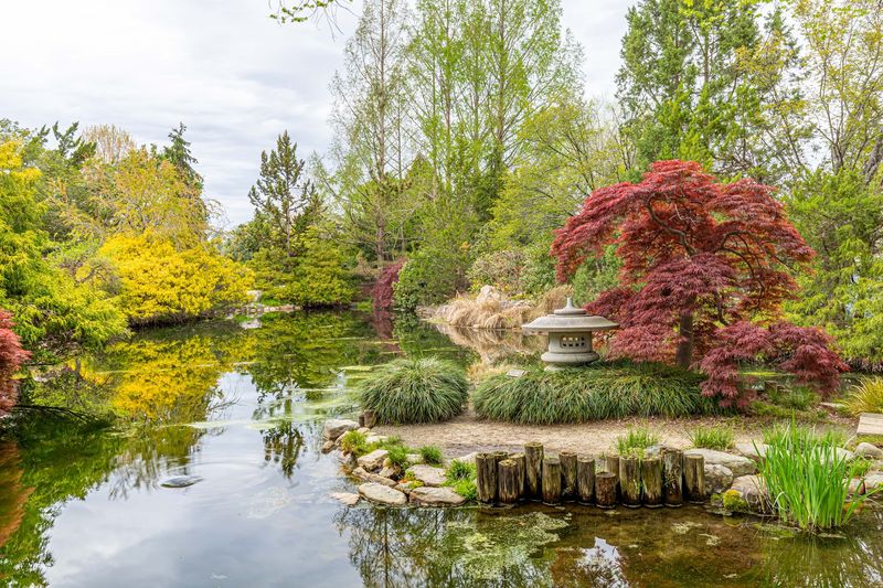 Calm Arrives in the Japanese Garden