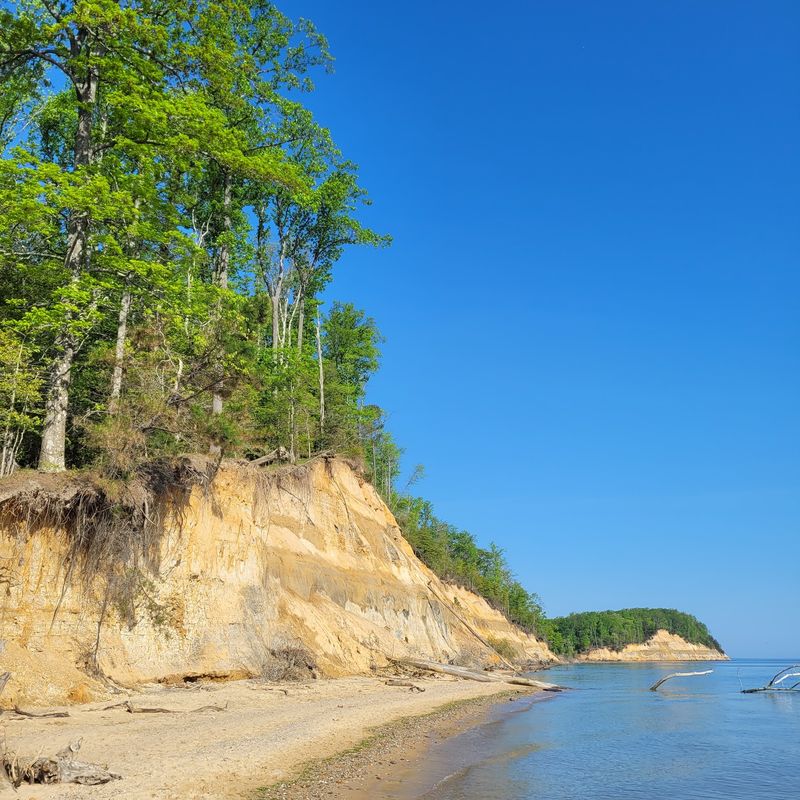 Calvert Cliffs State Park
