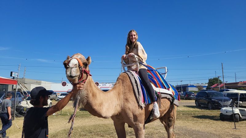 Camels, Ponies, and a Petting Zoo Camels, Ponies, and a Petting Zoo