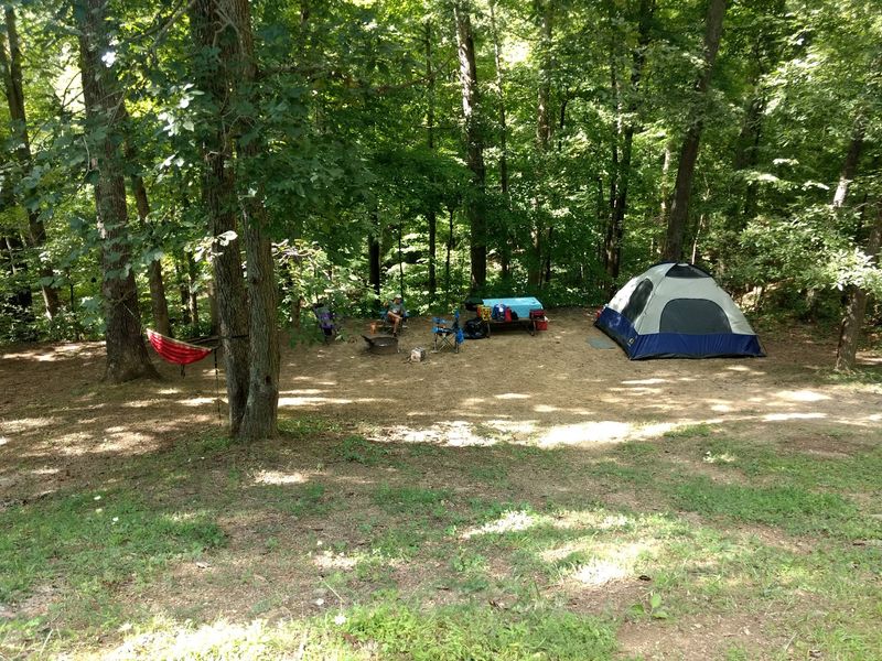 Campsites, Cabins, and Burr Oak Cove