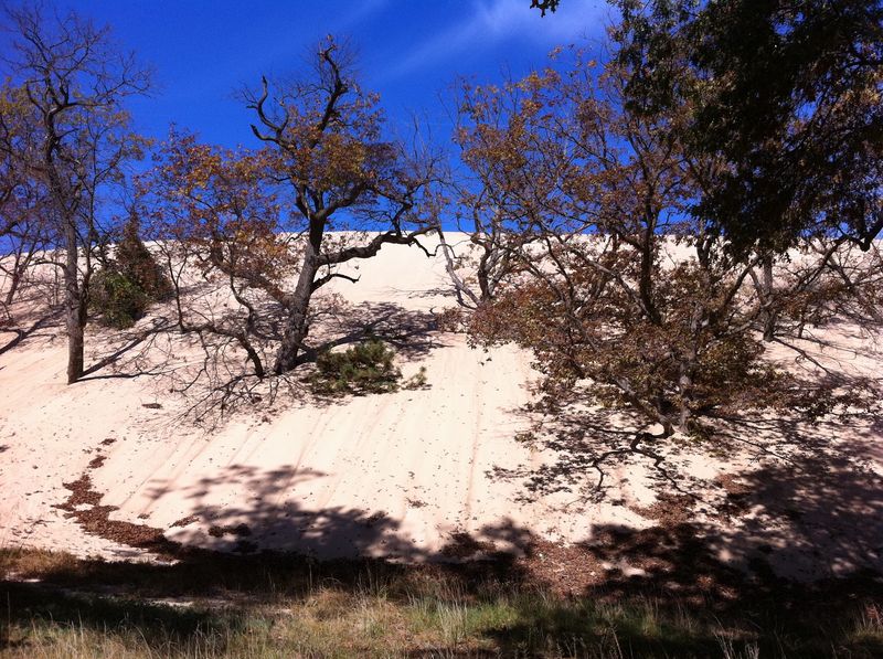 Can a Quiet Dune Trail Still Exist Can a Quiet Dune Trail Still Exist