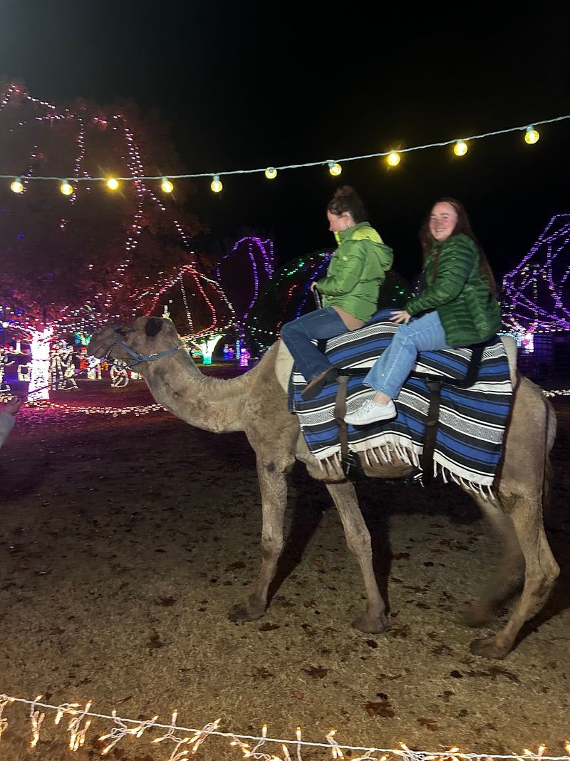 Carriage Rides, Camels, and Santa's Visits Carriage Rides, Camels, and Santa's Visits