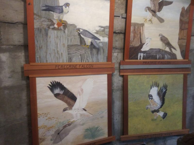 Carvings, Paintings and Birds Carvings, Paintings and Birds