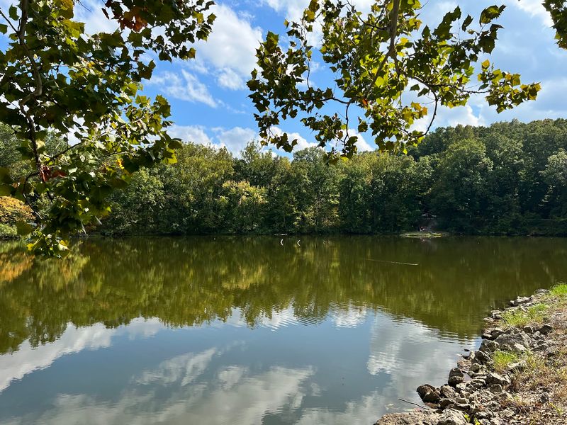 Cast A Line At Clubhouse Lake