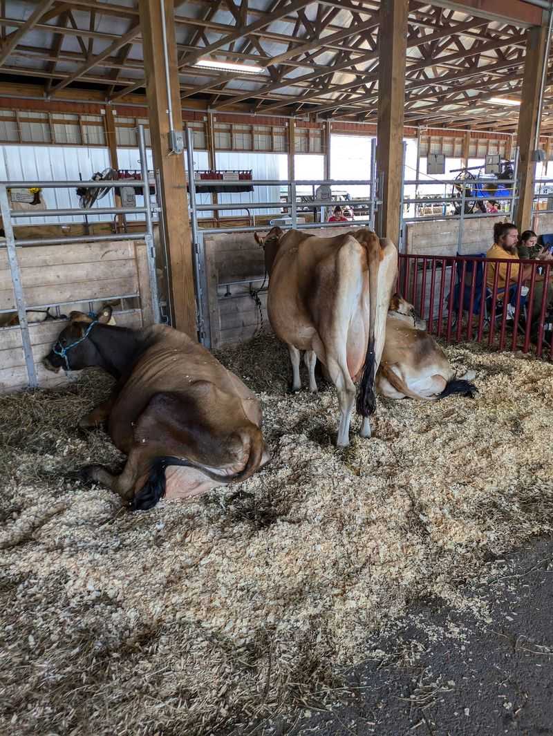 Cattlemen, 40 Acres, and a Grandstand