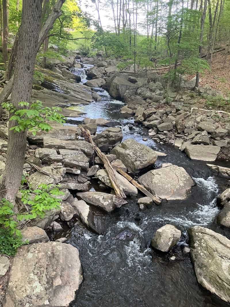 Chase The Waterfalls On Electric Brook Chase The Waterfalls On Electric Brook