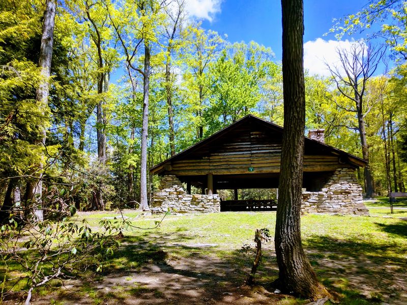 Chestnut Shelters and Stone Steps From the CCC Years