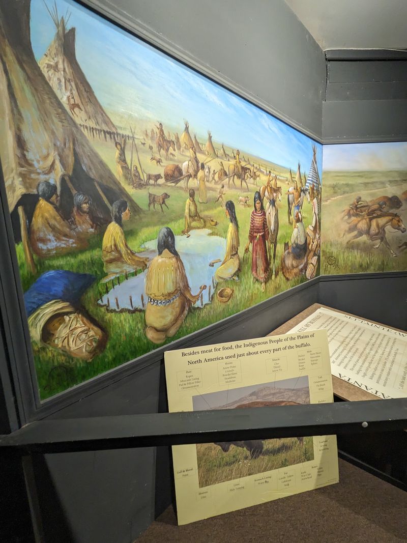 Cheyenne and Arapaho Heritage on Display