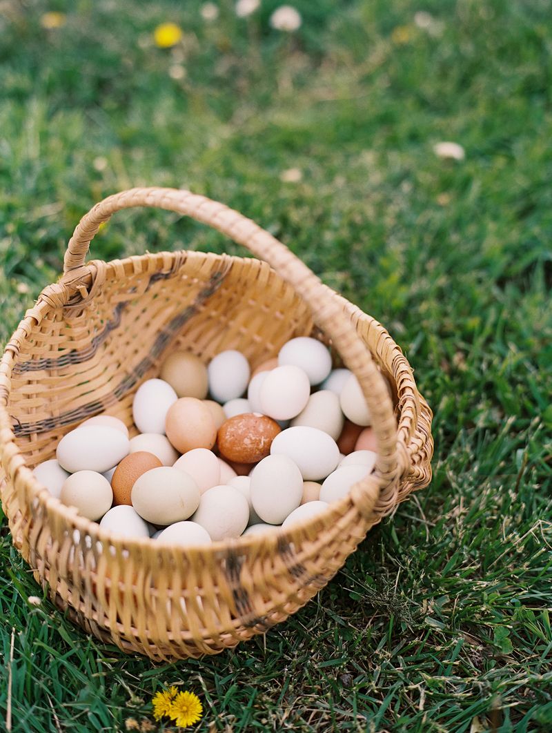 Chickens and Eggs Without the Corn and Soy Chickens and Eggs Without the Corn and Soy