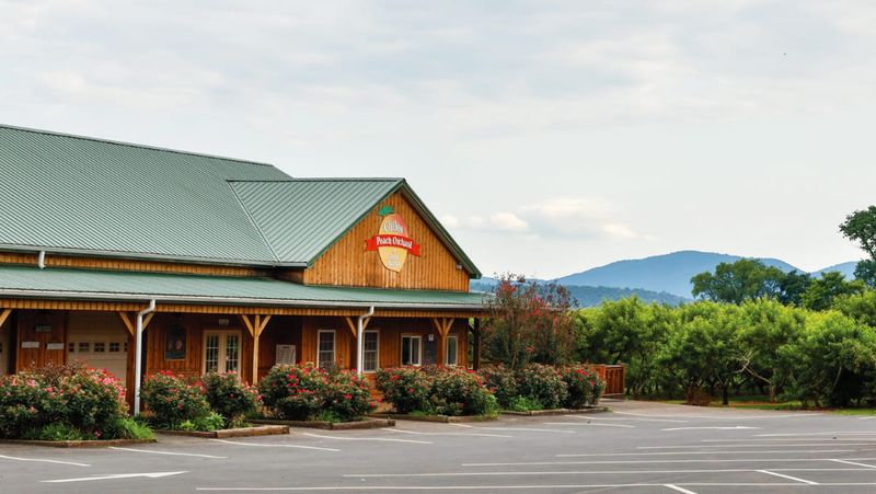 Chiles Peach Orchard and Farm Market