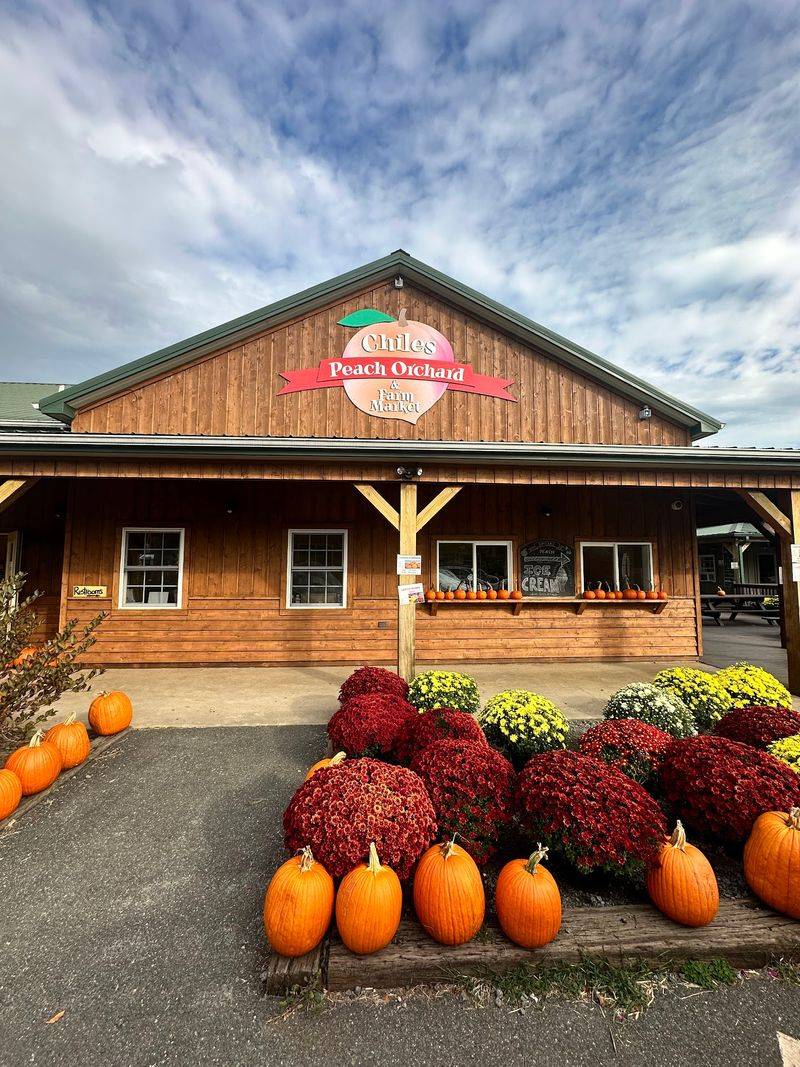 Chiles Peach Orchard and Farm Market