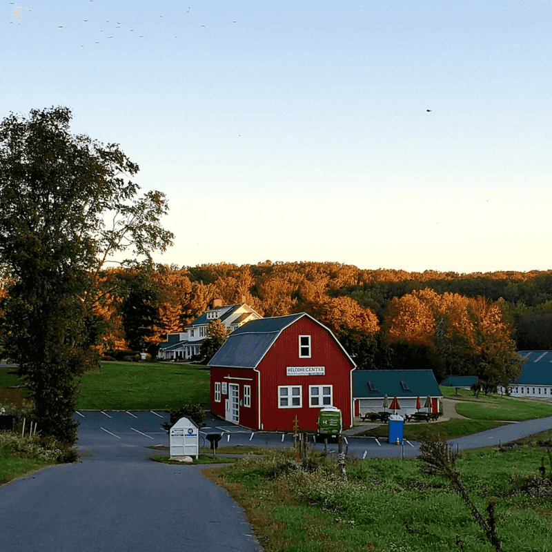 Chores, Eggs, and Muddy Boots