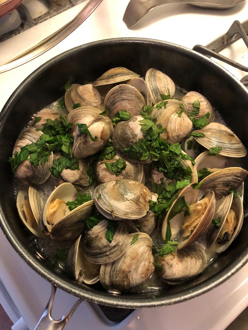 Clams That Were Underwater A Few Hours Ago Clams That Were Underwater A Few Hours Ago