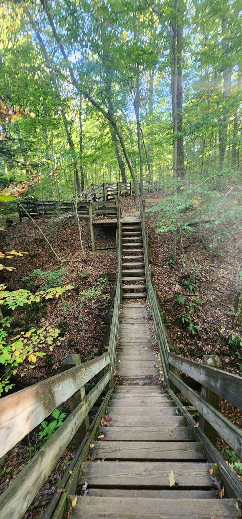 Climb Ladders And Feel Like A Kid Again