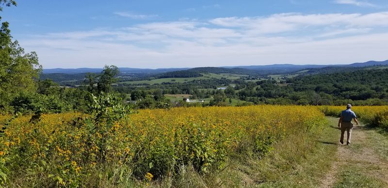 Climbing Up to Piedmont Overlook
