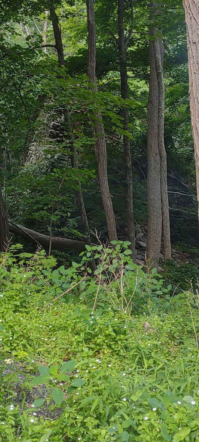 Clinton Furnace