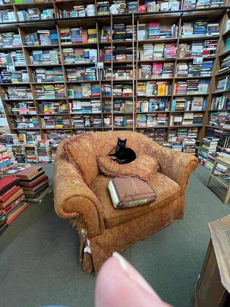 Comfy Corners Made For Lingering Comfy Corners Made For Lingering