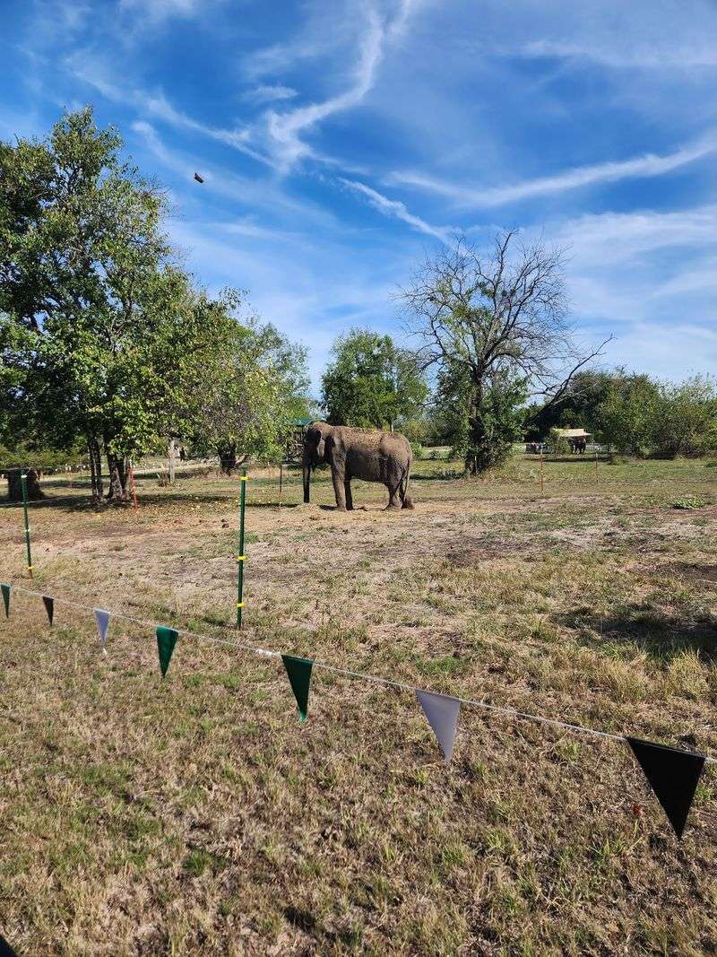 Conservation Behind the Fun
