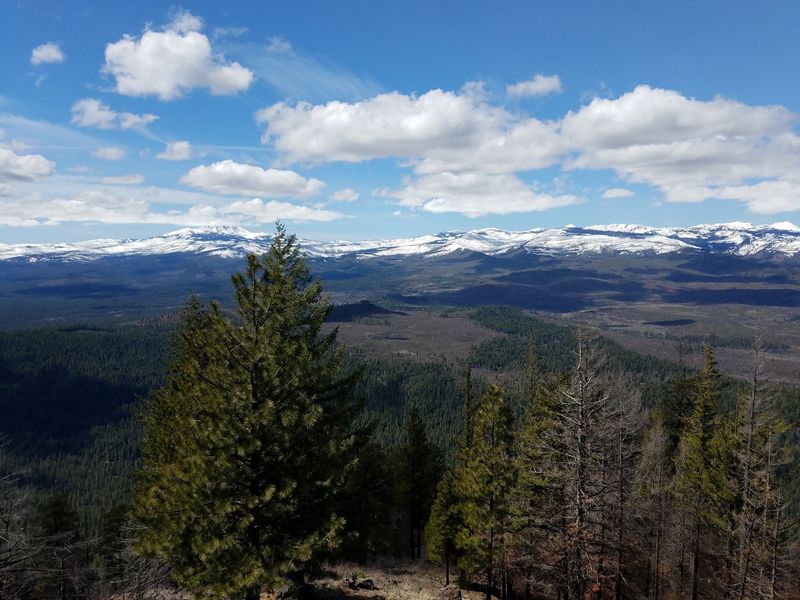 Count the Volcanoes Before Your Coffee Gets Cold
