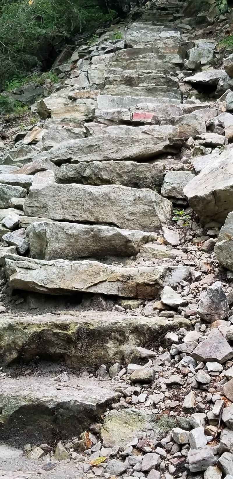 Counting Every Step on the Way Up