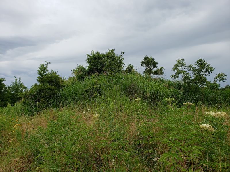 Craig Mound and Its Famous Hollow Chamber