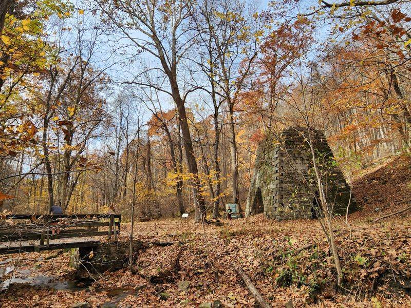 Creeks, Quiet, And A Picnic-Worthy Clearing