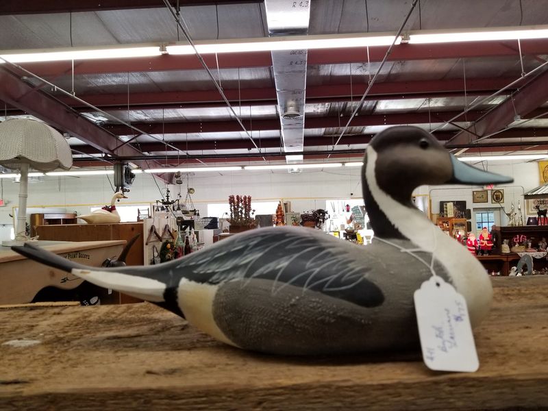 Decoys and Nautical Pieces With Eastern Shore Spirit