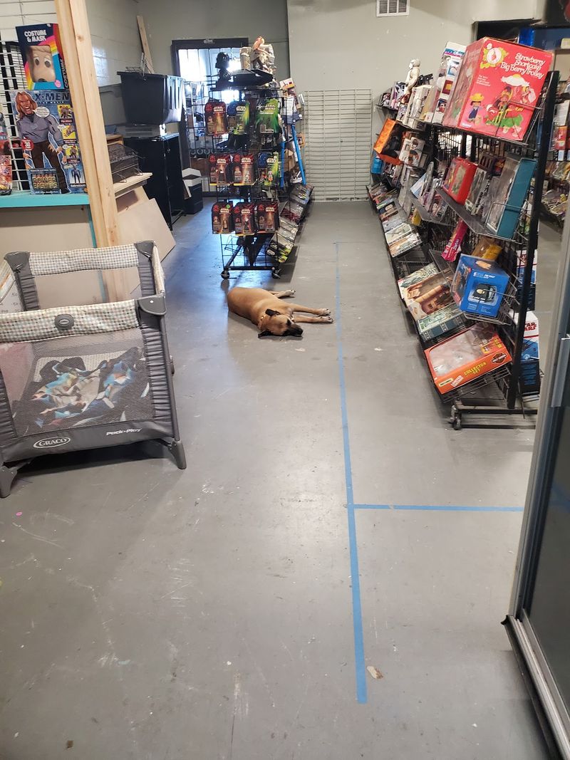 Dim Aisles, Big Piles, Sleepy Dogs Dim Aisles, Big Piles, Sleepy Dogs