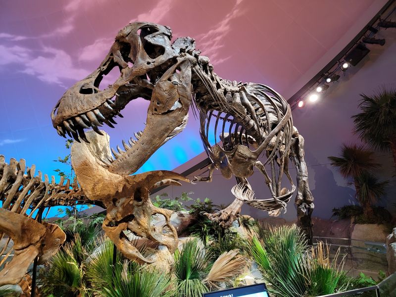 Dinosaur Fans, Your Kid Is About to Lose It in Dinosphere