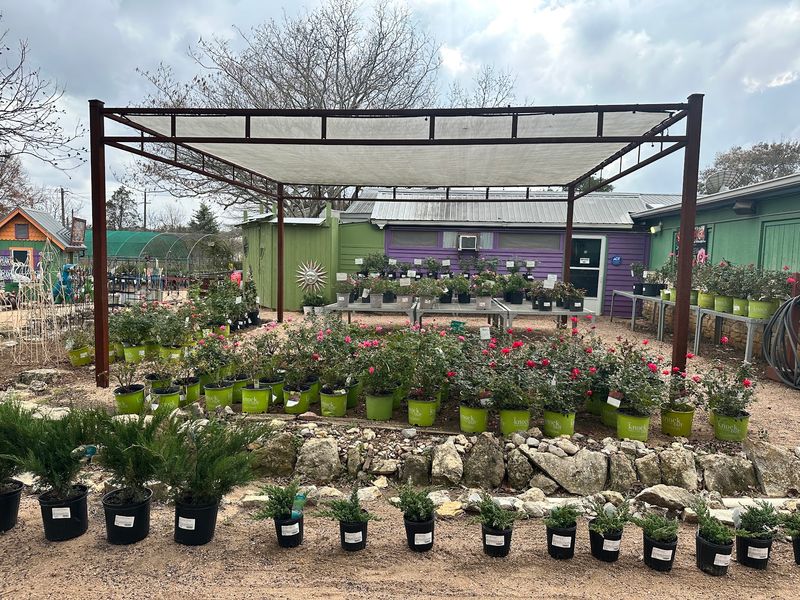 Display Gardens That Teach and Inspire