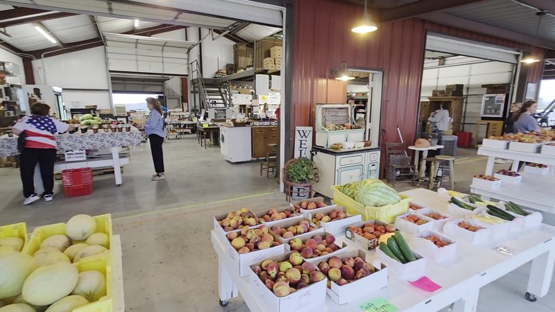 Donald Eckhardt Orchards - Fredericksburg Peach Grower