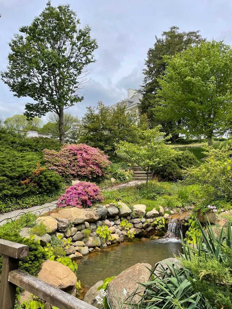 Down Into the Ravine Garden