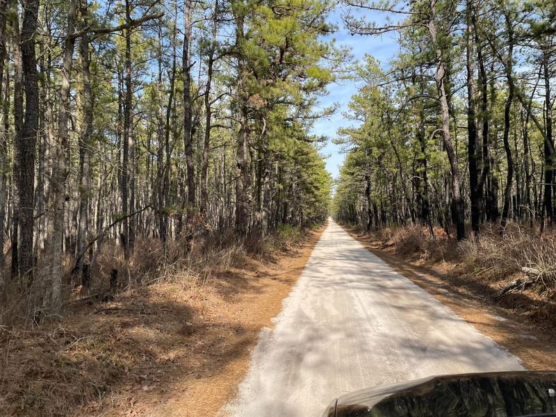 Driving In on Sandy Roads