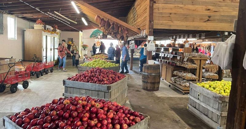 Drumheller's Orchard