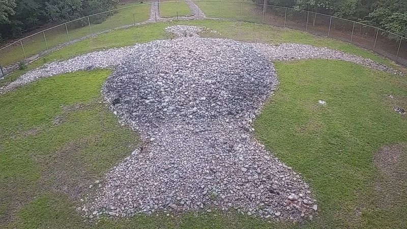 Eagle, Buzzard, or Something Else? Eagle, Buzzard, or Something Else?